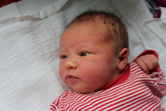 Dorothea_0153