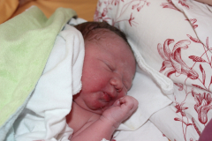 NOAH_201307170859
